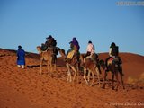 真给力的摩洛哥撒哈拉沙漠之旅