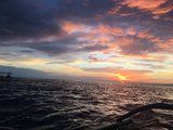 【更新中】在巴厘岛发呆的日子——含蓝梦岛浮潜、罗威纳看海豚、火山温泉攻略