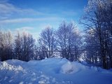 一路向北去看雪，走进芬兰静谧圣洁的冬天