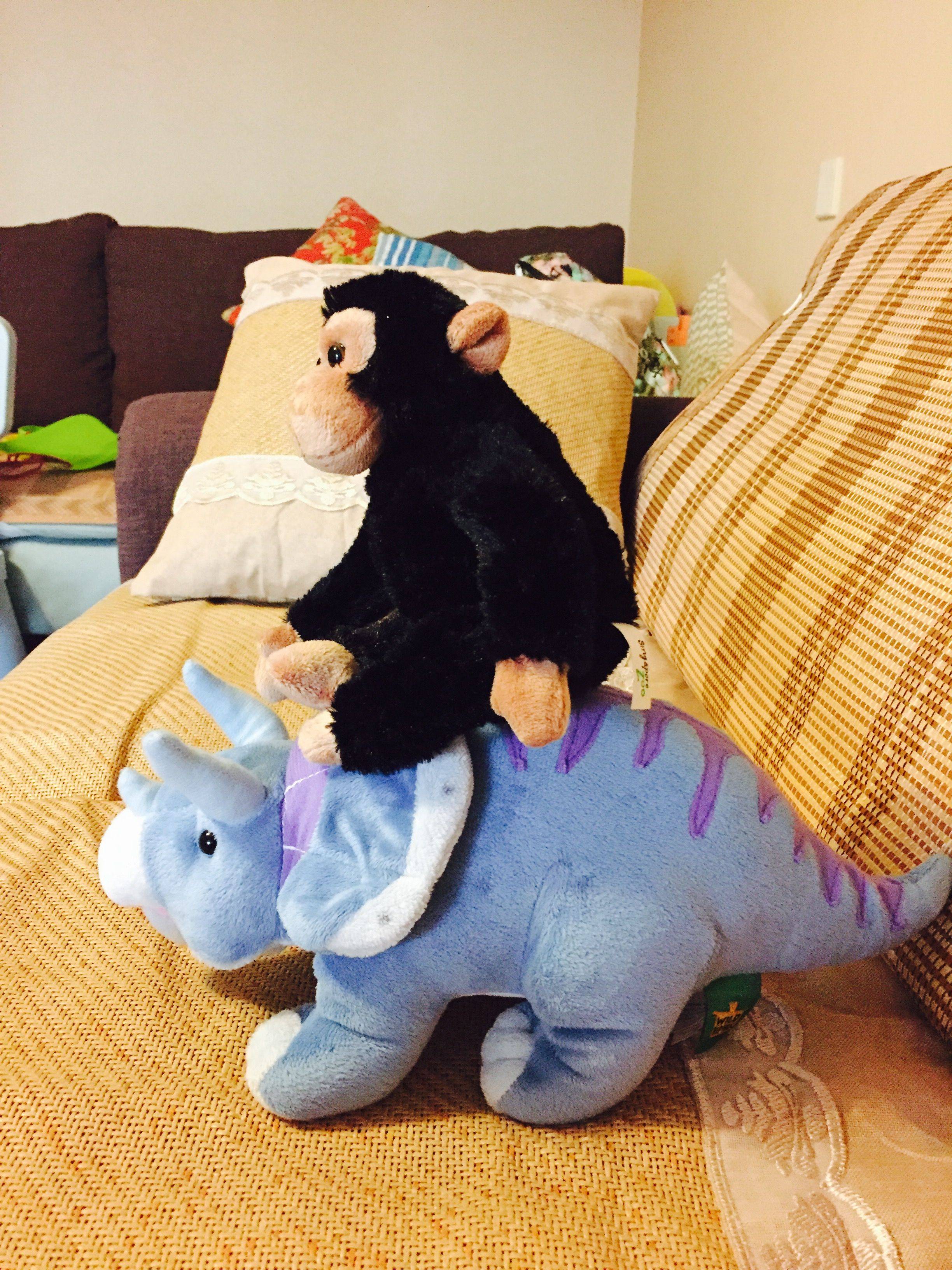 新加坡,16个月宝宝南洋游(已更完)