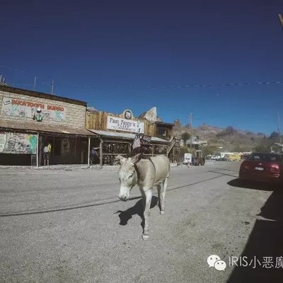 隐藏在66号公路边的没落淘金小镇 Oatman 带孩子旅行 论坛 穷游网