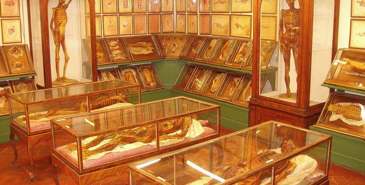 意大利：佛罗伦萨的博物馆和美术馆