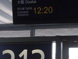 樱花季暴走大阪-京都-箱根-东京完美圆梦之旅(更新中。。。)
