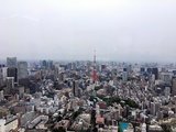 极度悠闲14天日本东京、京都、奈良、大阪蜜月游