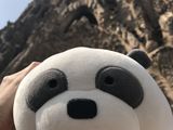 2017西班牙带上熊猫去旅游之二——巴塞罗那-终于遇到了传说中的小偷~