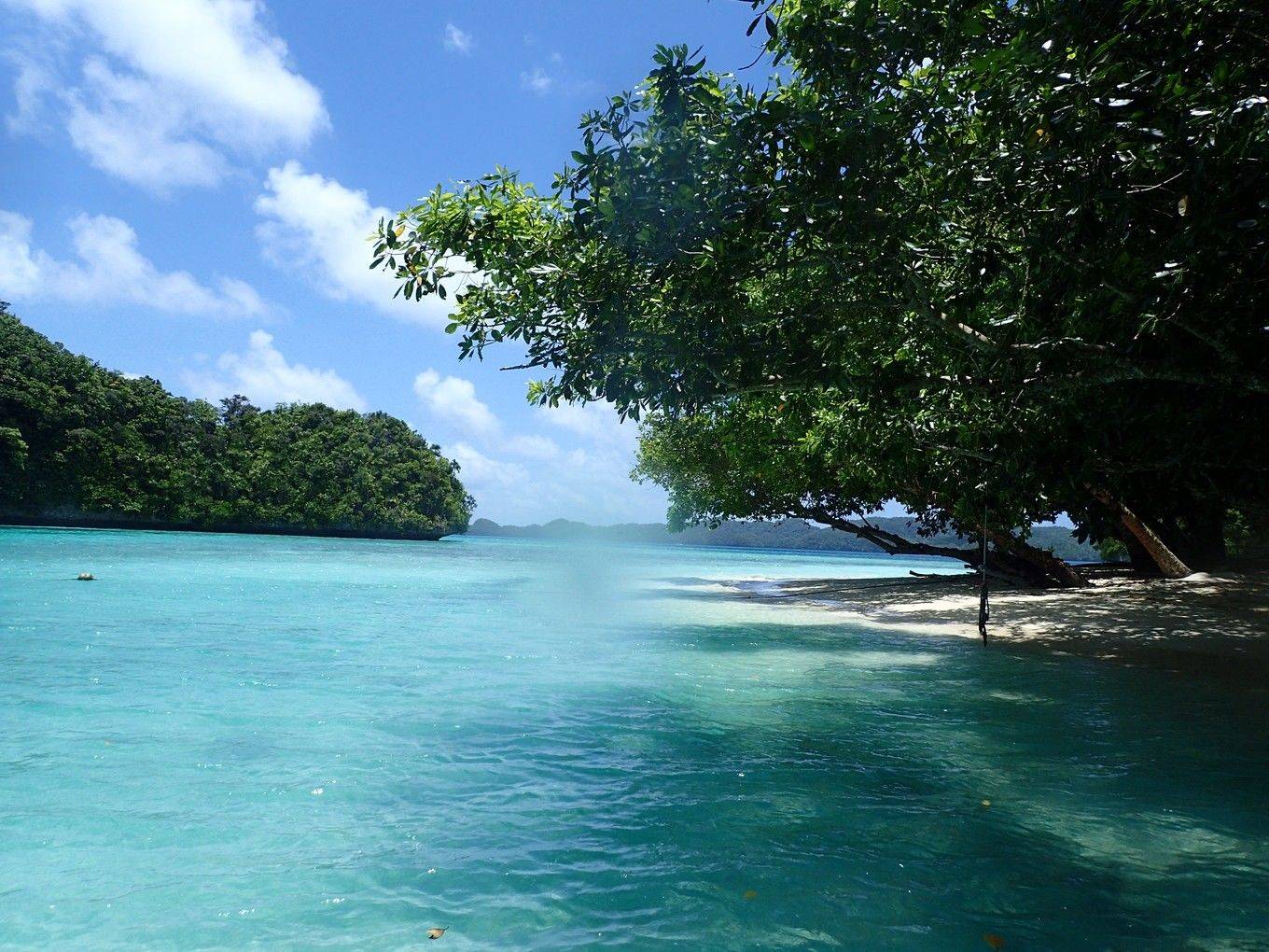 太平洋上的孤岛,一生必去一次的地方—帕劳 - 太平洋海岛 | 轻年计划