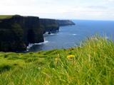 发点上周爱尔兰环岛自驾游的照片，风景几如Windows桌面