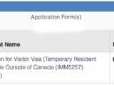 宝宝单独申请加拿大网签个人旅游签证 攻略分享 全程27天