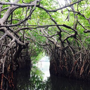 阿毛狸的旅行游记