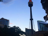 【玩乐体验师】换个角度看悉尼之悉尼塔旋转餐厅自助晚餐