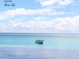 换个角度看斐济[斐济五日背包游，多图+文，新鲜完结]
