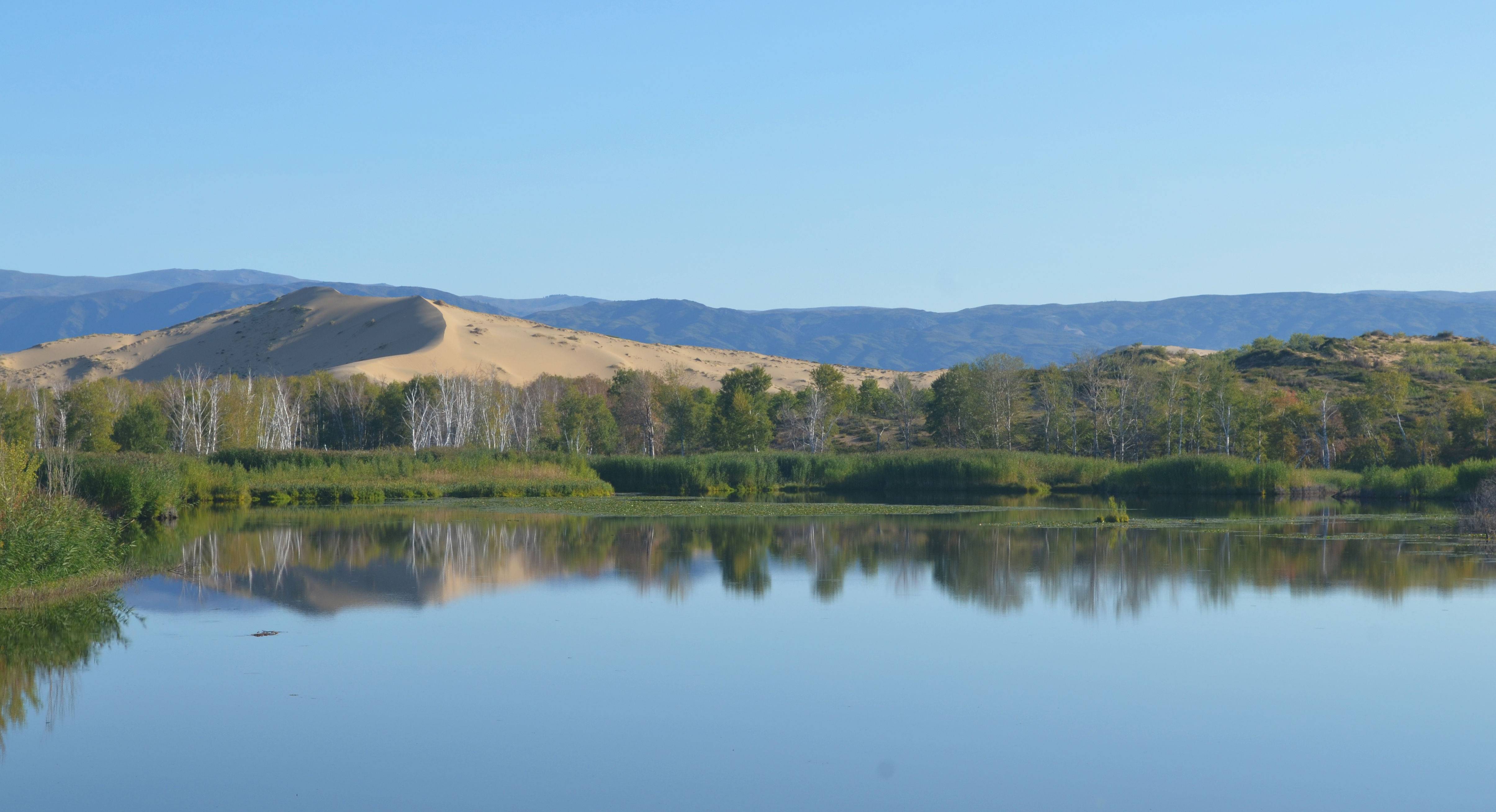 沙漠里的绿洲,白沙湖——新疆北疆游记(v) - 带孩子旅行 | 中国内地