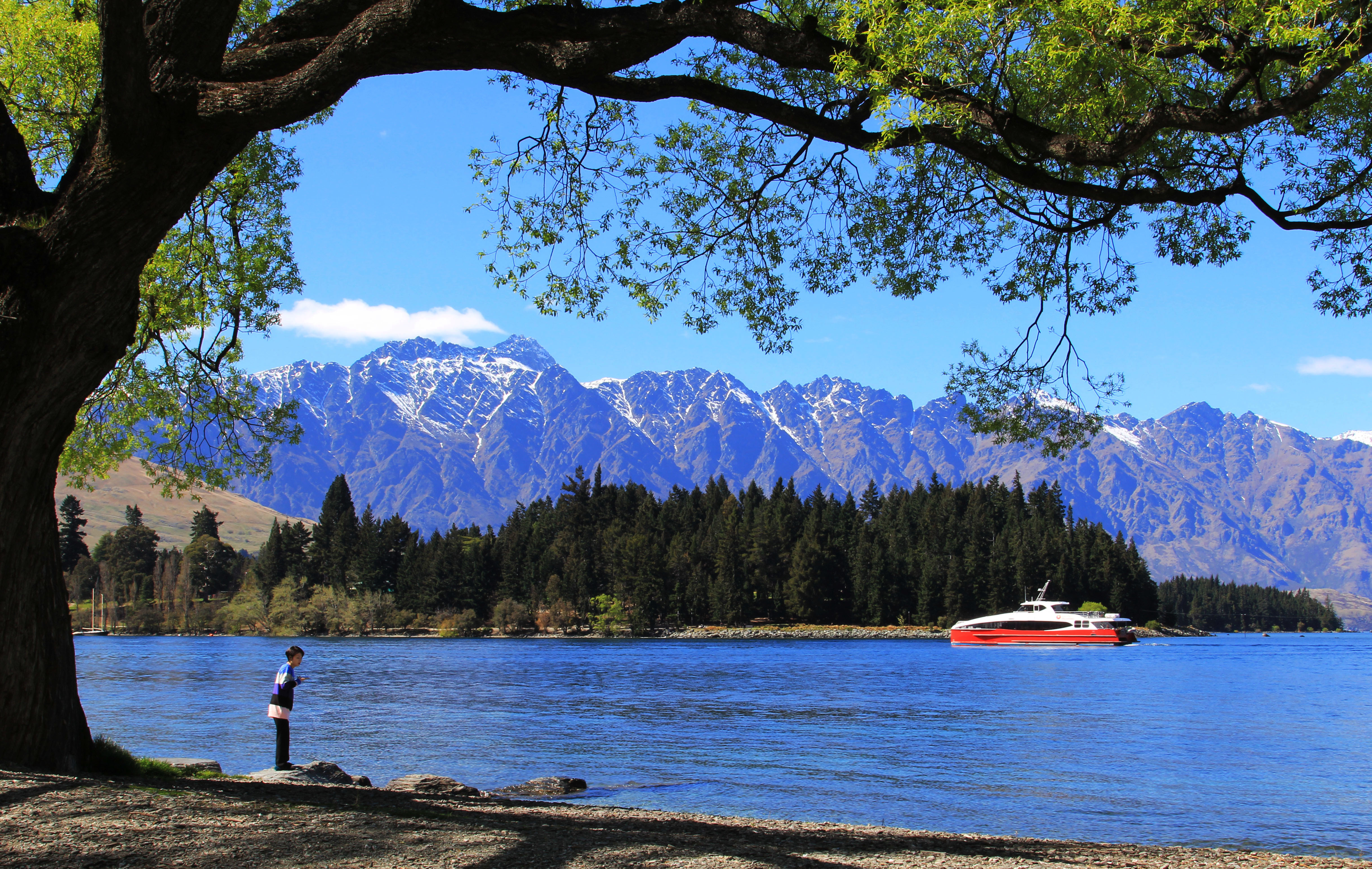 纯净新西兰 17年国庆新西兰之旅 含攻略总结 完结 新西兰 论坛 穷游网