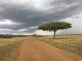 二千里路风和尘 一离开就怀念的肯尼亚SAFARI之旅（攻略看这一篇就够了）