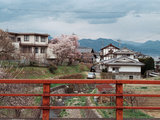 【完结】去长野看樱花：温泉、美食和误会之旅