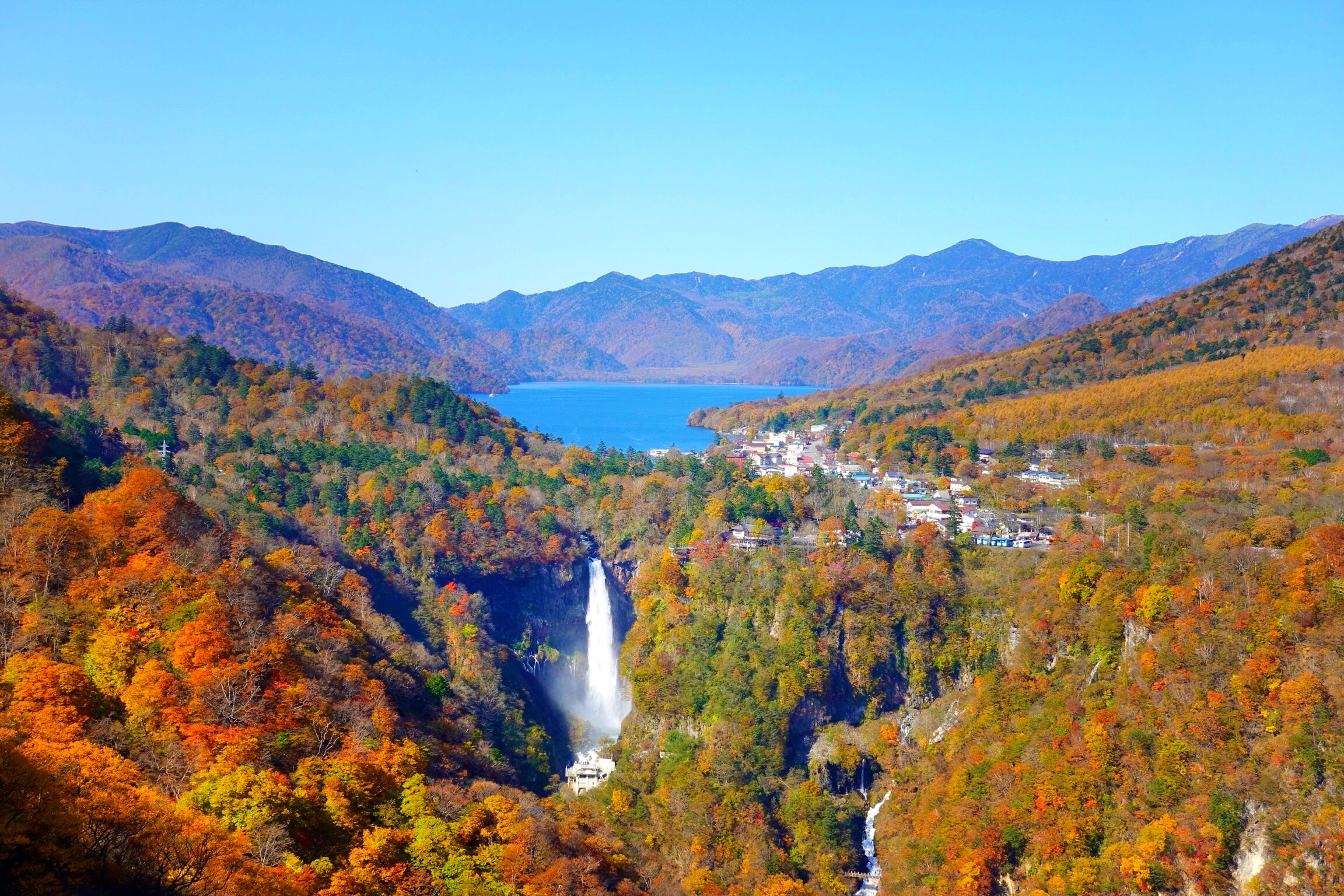 东瀛追枫记 台风过后的晴朗日光 日本第一红叶胜境 日本 旅行摄影 论坛 穷游网