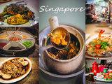 【南洋一页 叁】新加坡觅食记（美食大全，经典+小众景点，超强攻略）