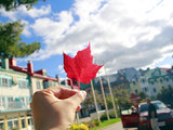 只想跟着秋风再走八百里，不问归期--10月自驾加拿大魁北克