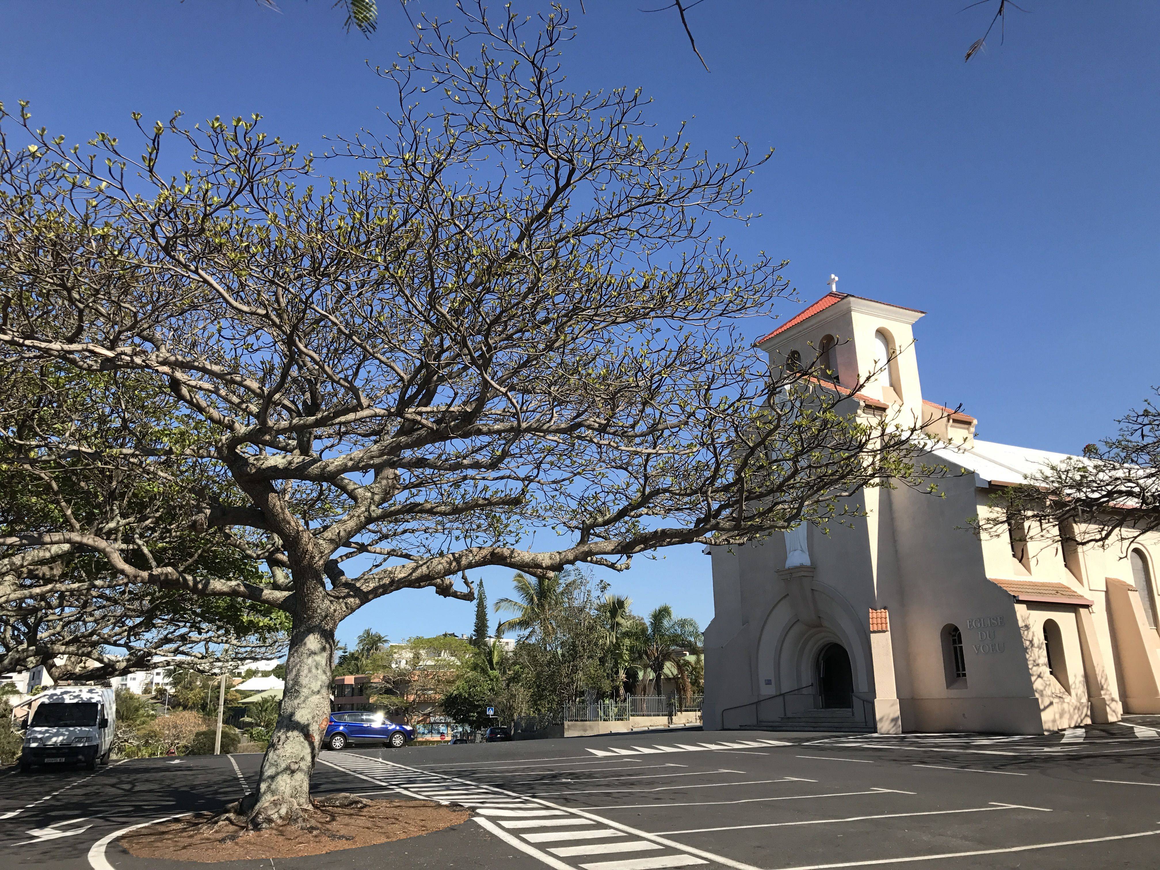 在新喀里多尼亚首府努美阿nouméa的长周末2017年10月