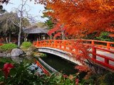【日本之旅】由志园的红叶与夜间主题灯光秀