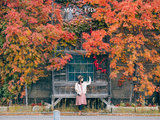 北海道的红叶，我们走过的十载（札幌、定山溪、小樽赏枫之旅）