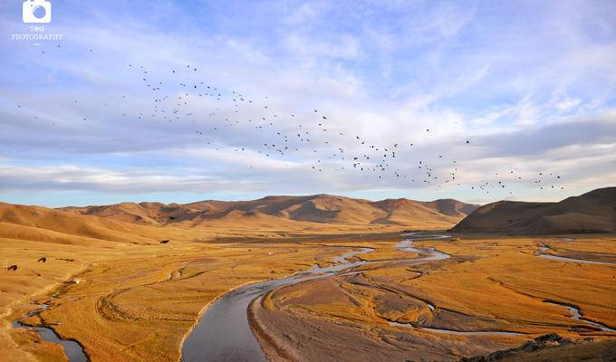 蒙古利亚：帝国余晖下的草原清晨