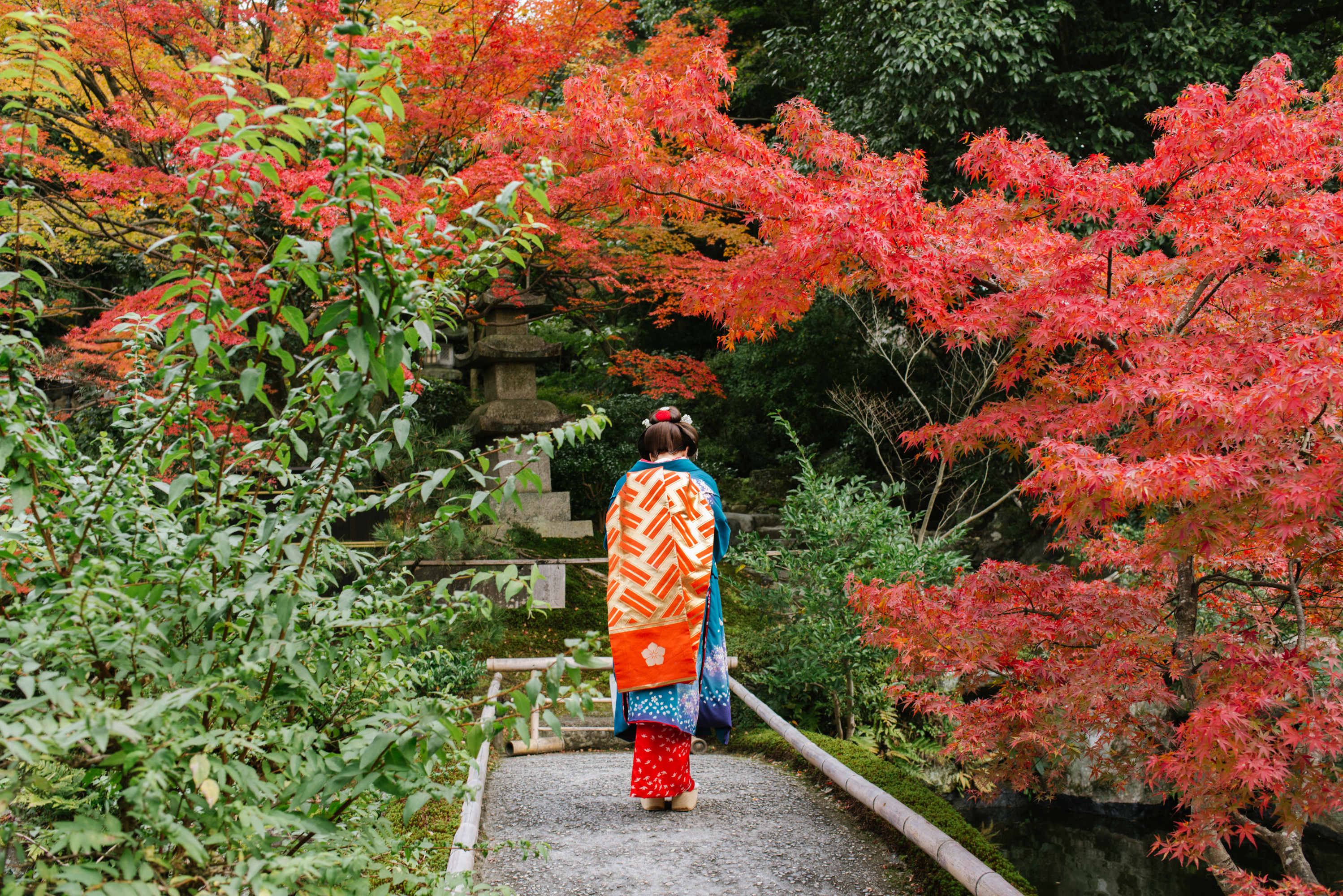 秋の金平糖 红叶季京都三日急行一人旅 专注小众景点 新鲜热乎的红叶