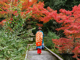 【秋の金平糖】红叶季京都三日急行一人旅 | 专注小众景点 | 新鲜热乎的红叶情报