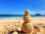 冬季来夏威夷避寒 阳光海滩依旧​