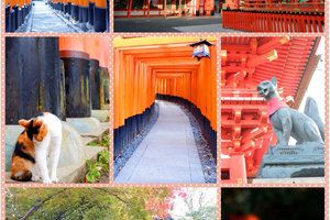 17京都红叶纪行 伏见稻荷大社 祗园和服变装 永观堂 下鸭神社 本愿寺的银杏 东福寺 宇治 岚山 古都骑行