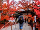 再访京都，已近尾声的红叶季……