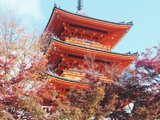 浪漫红叶温泉之旅--京都有马大阪奈良10天（已完结）