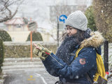 三刷日本，【北海道】最美的初雪，中雪和大雪（札幌、函馆、小樽、富良野）5天高效玩法总结