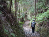 熊野古道资料大搜集之高野参詣道、小辺路、中辺路