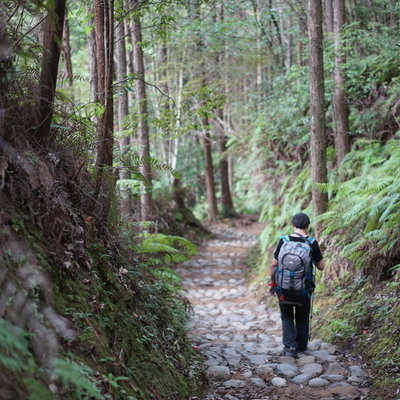 熊野古道资料大搜集之高野参詣道 小辺路 中辺路 日本 户外运动 论坛 穷游网