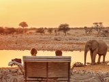 【W&W】纳米布的沙漠赞比西的河，生命的爱与狂欢 ▏南部非洲环游记