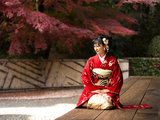 完美的京都枫叶季