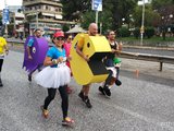 2017希腊雅典马拉松圣托里尼10日