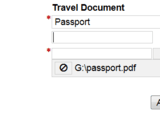 网上提交澳洲签证申请、不知道为啥上传不了附件