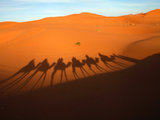 摩洛哥自驾之五——驼影里的撒哈拉