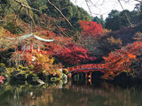 大阪奈良京都—— 2017 红叶之旅（京都5天还算深度的观赏红叶；奈良1天去了法隆寺）