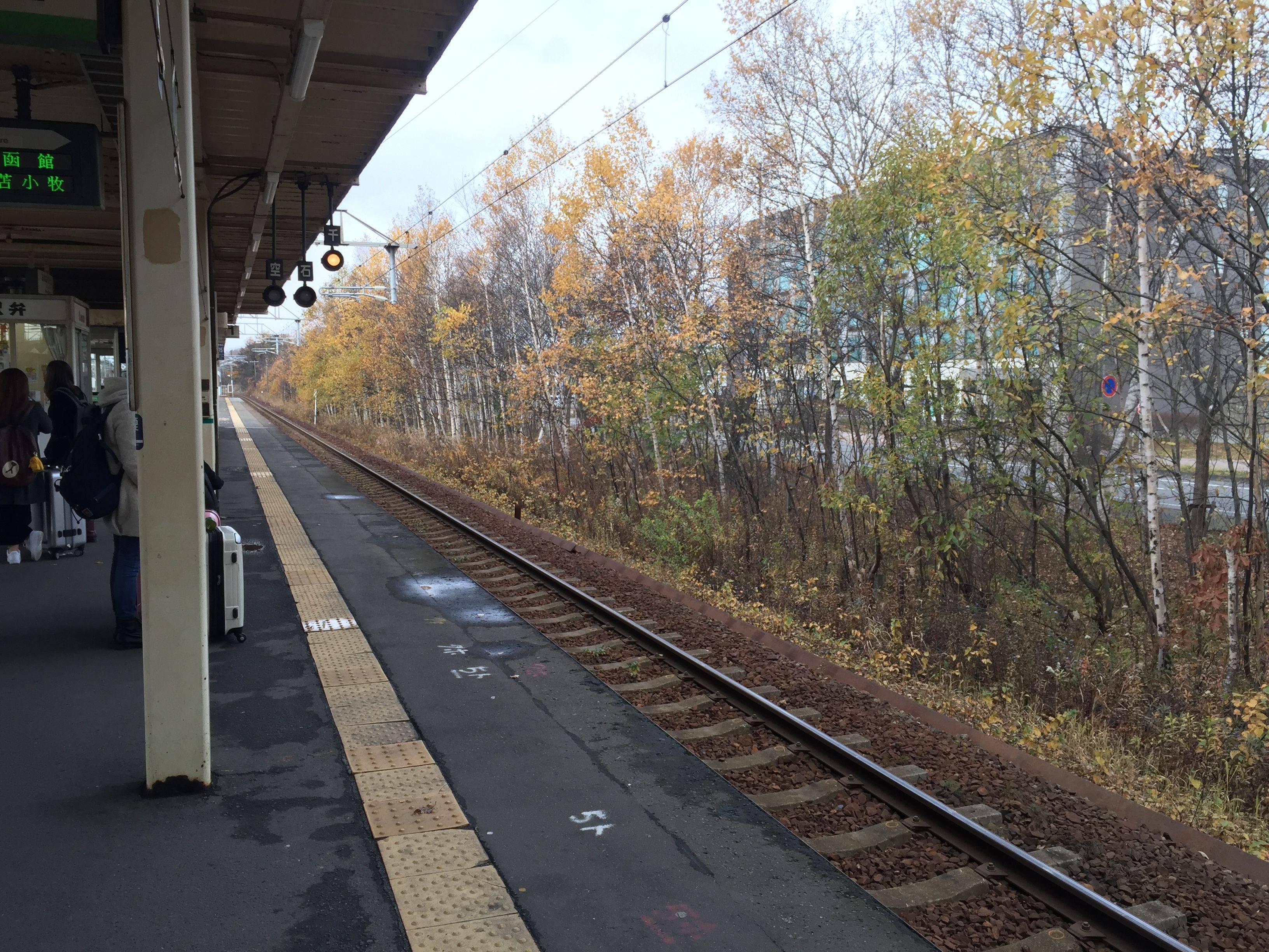 一个人旅行北海道(一个人旅行北海道的说说)