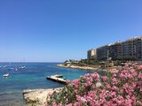 我在马耳他考潜证——初夏的蓝黄交响