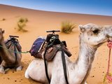 摩洛哥寻旅伴，6天精华旅，可半路拼，可自驾，万事好商量
