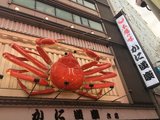 2017圣诞之旅——纯吃喝玩乐的关西游（大阪，京都，奈良，神户）