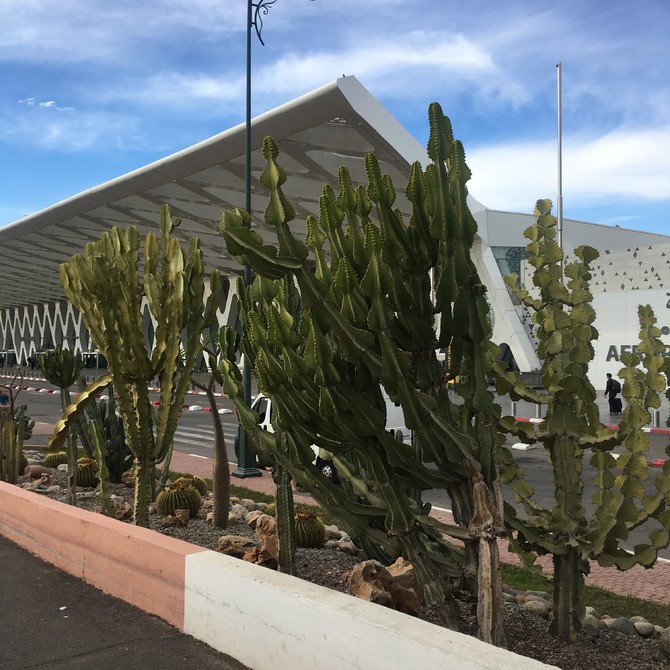 马拉喀什迈纳拉国际机场旅游图片 马拉喀什迈