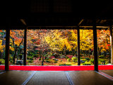 京都早起鸟——寻找无人的京都红叶！