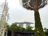 小蘑菇旅行记之2017年10月新加坡亲子游（更新完）