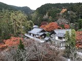 日本枫叶季携父母9天8夜关西经济游（京都、奈良、大阪），名古屋进出。内含现代建筑游。间接性持续更新ing……