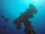 【潜入蓝色星球】菲律宾科隆二战沉船，阿波礁，PG海豚湾，Verde外岛潜水～